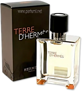 Hermes TERRE D'HERMES 6.5 OZ EDP SP