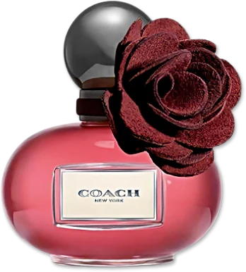 Coach Poppy  Wild Flower 3.4 OZ  EDP  SP