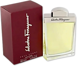 Salvatore Ferragamo Men 6.8 OZ Gel