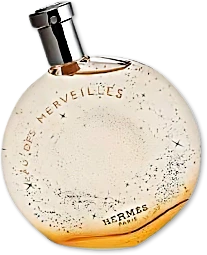 Eau Des Merveilles 3.4 OZ EDT SP